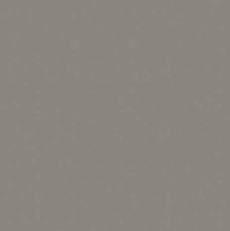 Egger F500 ST20 - Metallic Inox